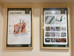 -丝客富脱发养发头皮馆