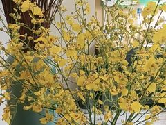 -眉州东坡(民族园店)