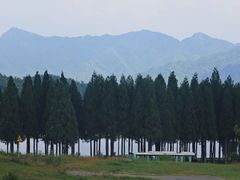 -玉舍国家森林公园