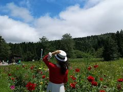 -武陵山森林公园
