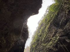 -鹿院坪生态旅游景区