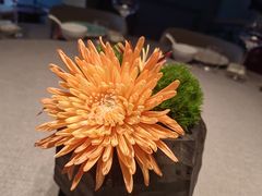 -南堂馆·新川菜(春熙路店)