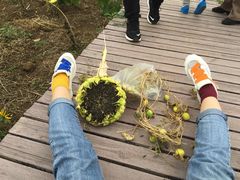 -武汉紫薇都市田园