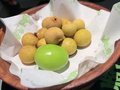 -季季山·云南野生菌火锅(上海首店)