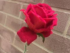 -安德烈俄式西餐厅(中央大街店)