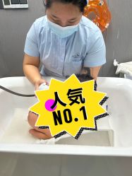 -安琪朵朵独栋花园月子中心