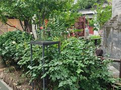 -正阳书局(西四南大街店)