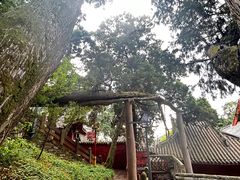 -七曲山风景区