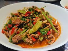 香菜炒牛肉-壹盏灯(蚂蚁工房店)