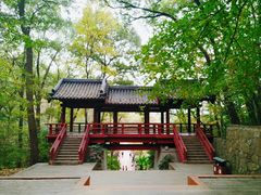 -紫霞湖公园