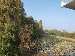 -东湖落雁景区
