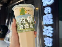 -猫的魔法密林(衣裳街店)
