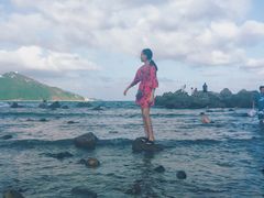 -西涌国际滨海旅游区