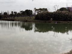 -瑶湖郊野森林公园