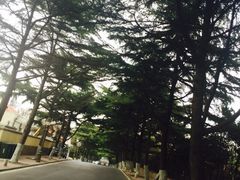 -八大关景区