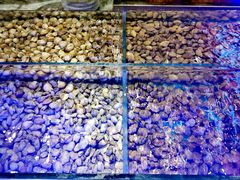 -爱有声毛肚串串火锅自助(龙之梦大都汇店)