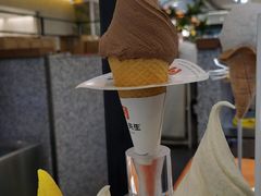 -野人先生Gelato(上海长宁龙之梦店)