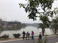 -枫香湖儿童公园