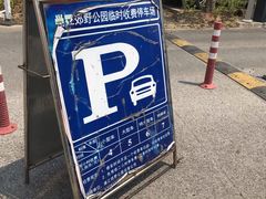 -上海浦江郊野公园-4号停车场