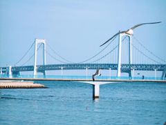 -星海广场