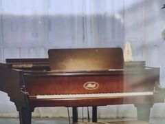 -Melody Mentor音乐私教馆(朝外·悠唐店)