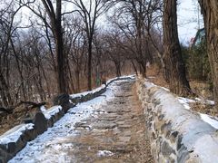 -阳台山自然风景区