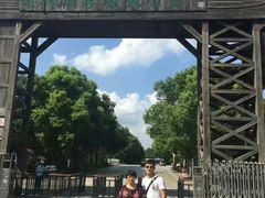 -溱湖国家湿地公园