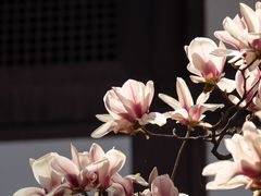 -成都杜甫草堂博物馆