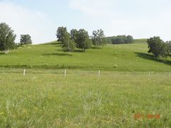 -塞罕坝国家级自然保护区