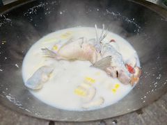 -鲜潭蒸汽石锅鱼(五道口购物中心店)