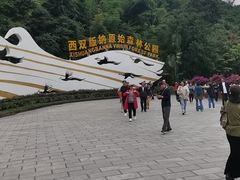 -西双版纳原始森林公园
