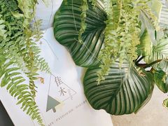 -隹木咖啡馆(宝龙广场店)