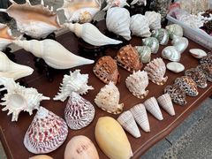 -三亚西岛海洋文化旅游区