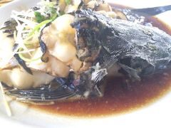 秦岭太平峪三桥峪建社鱼庄-建社鱼庄(管坪店)