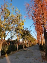 -优沃得自然教育农场·冰雪乐园·生日会·研学