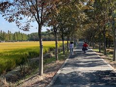 -广富林郊野公园