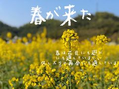 -红山村