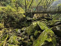 -秦岭风景区