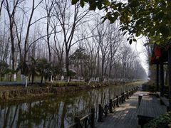 -合肥滨湖国家森林公园