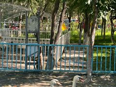 -水上乐园·欢乐世界