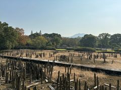 -河姆渡遗址博物馆