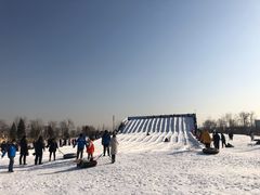 -绿野森林乐园冰雪季