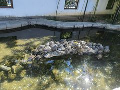 -红螺寺