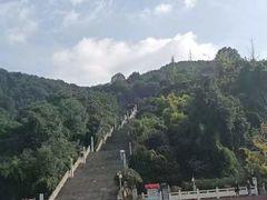 -铁山坪森林公园