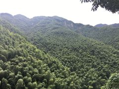 -长谷洞天