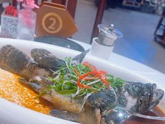 -陶缘一号·四季缘·老字号顺德菜·户外婚礼家宴(西滘店)