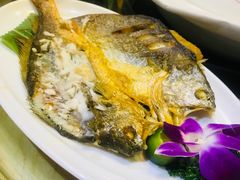 -龙泉人椰子鸡.糟粕醋.海南菜(三亚旗舰店)