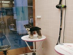 -FAELING PETS美天灵宠物(富力广场店)