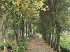 -游子山休闲旅游区