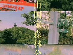 -杭州半山国家森林公园